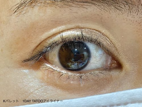 1DAY TATTOO プロキャスト ザ・アイライナー
