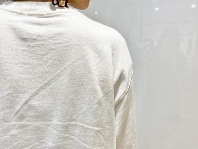 ピップエレキバンインナークリップ