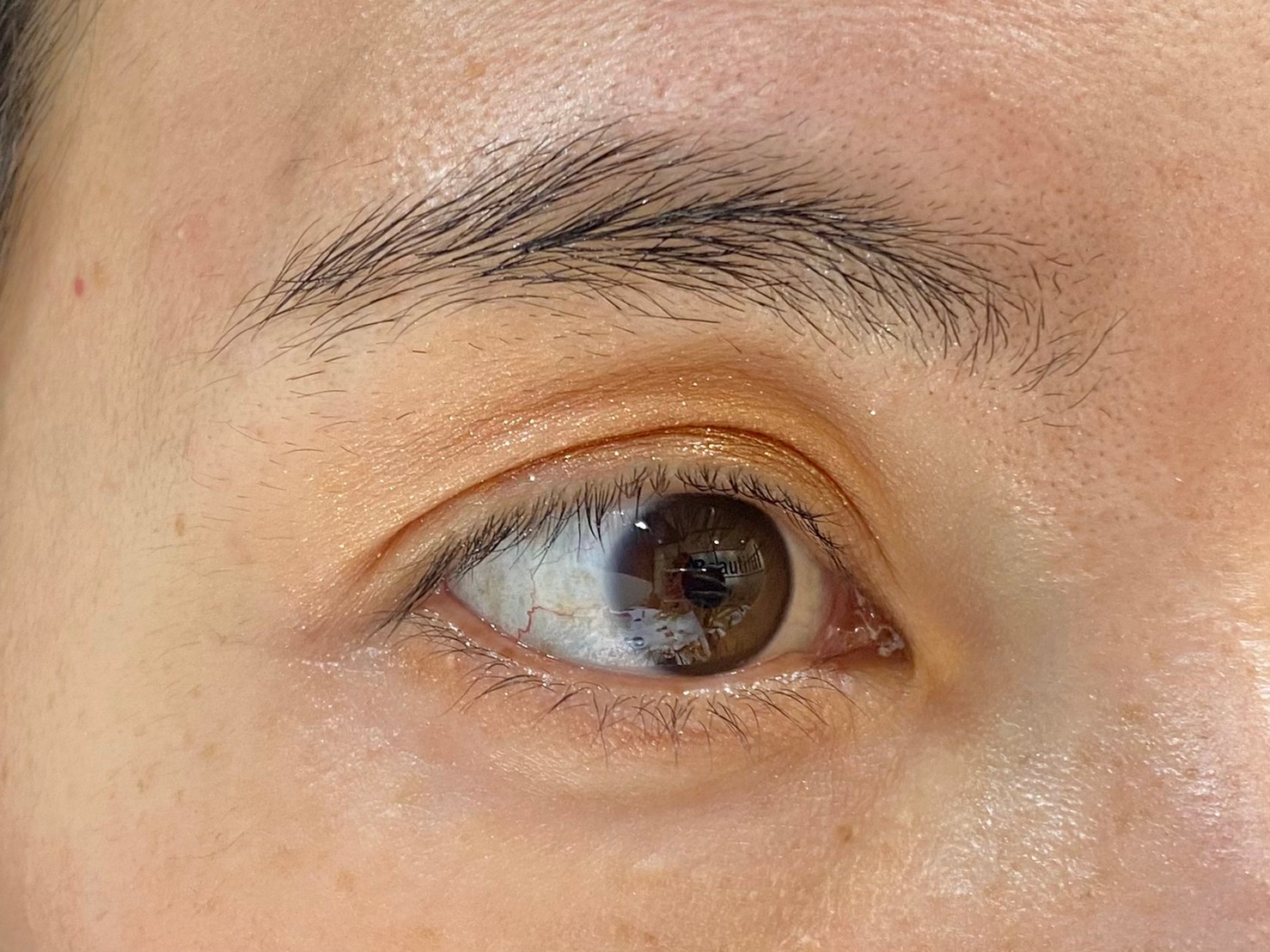 アイシャドウ完成