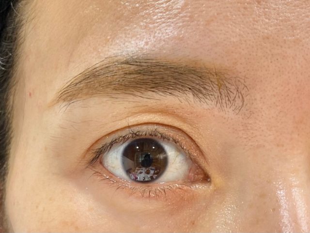 マルチプルーフアイブロウス使用感2