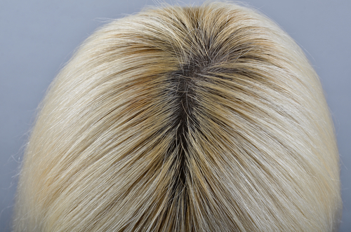 シャンプーの選び方