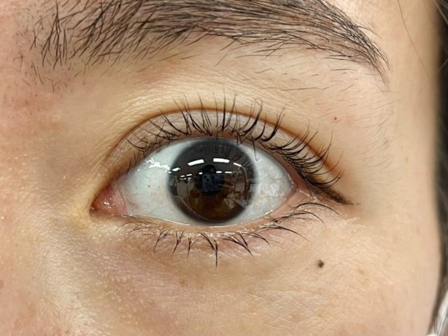 エアリーロングラッシュマスカラを塗った目の正面画像