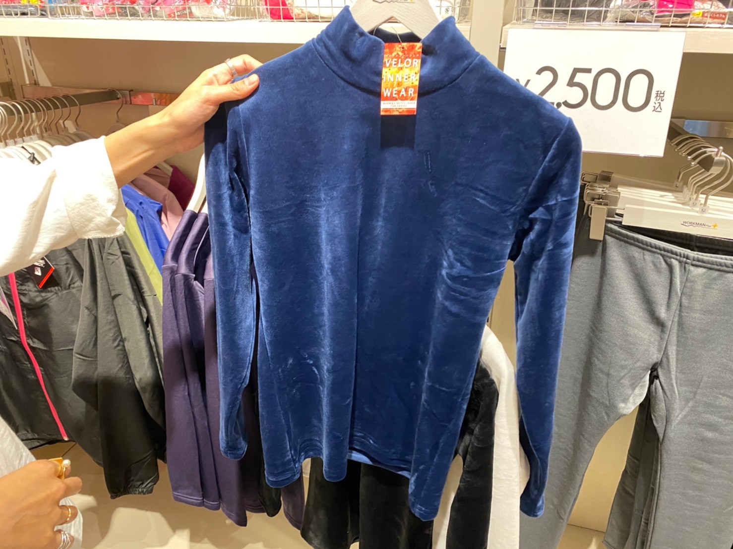 袋に入ったレディースベロアハイネック、コンの画像