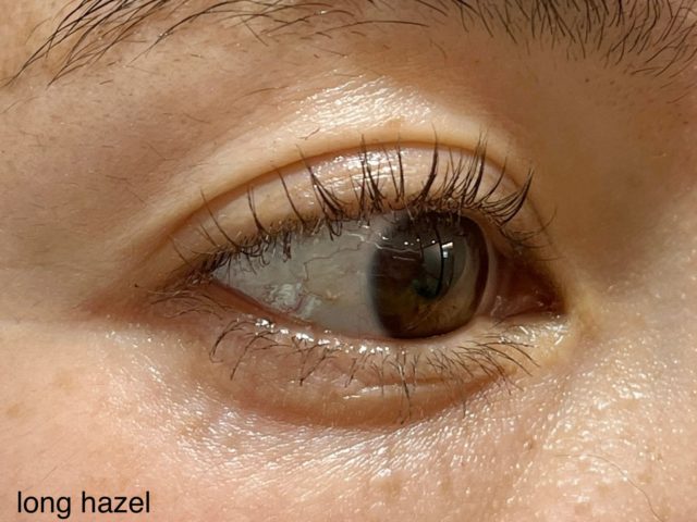 L03 LONG HAZELを塗った目元の横画像