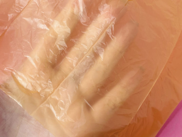 付属のゴミ袋は透け感がある