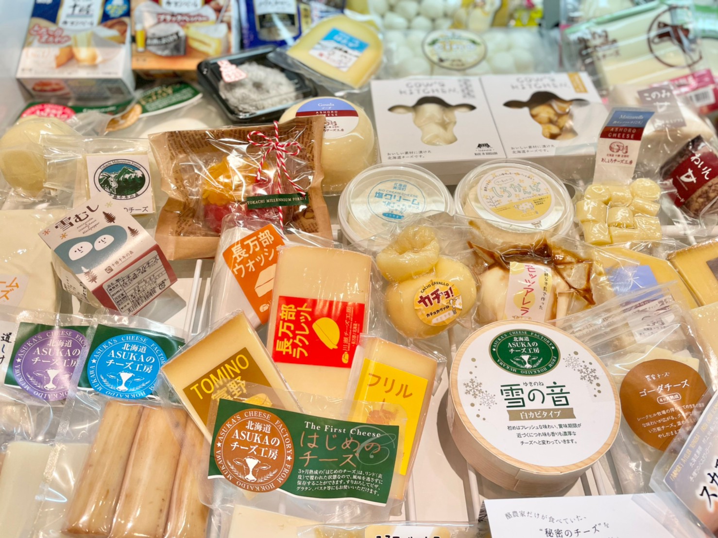 北海道地チーズ博 2022