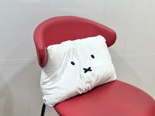 椅子のクッションにしている例