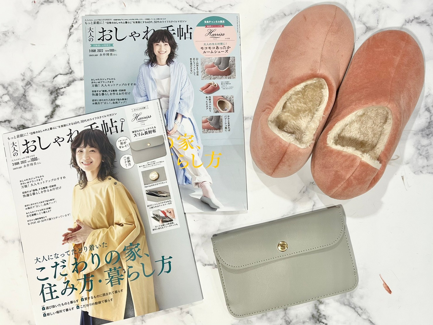 大人のおしゃれ手帖×3月号と付録の画像