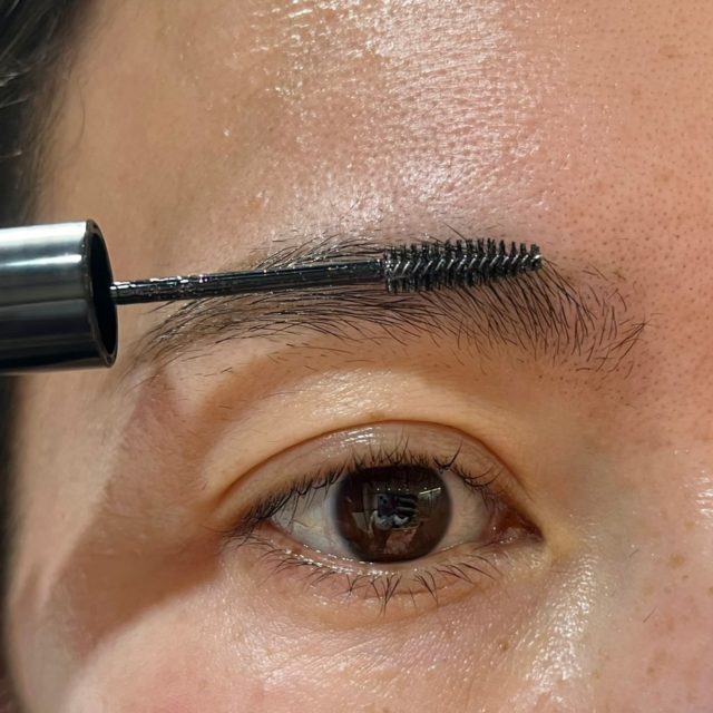 眉頭中心に上向きに毛流れを整える