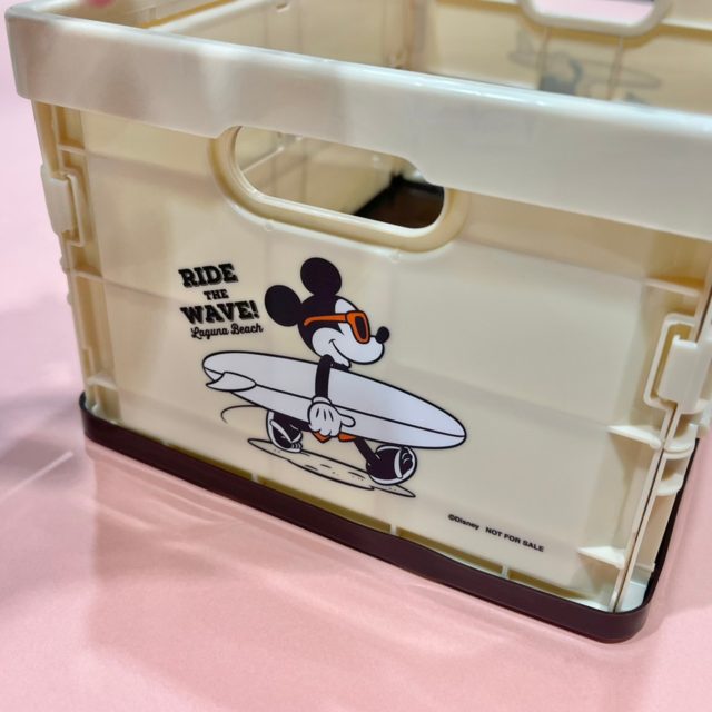 コンテナボックスのサーフボードを抱えているミッキー