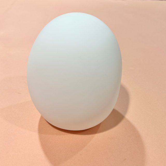 すみっコぐらし お部屋ライト･ぺんぎん（後ろ姿）