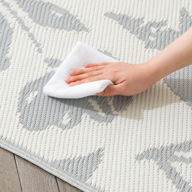 ラグ汚れ拭き取り