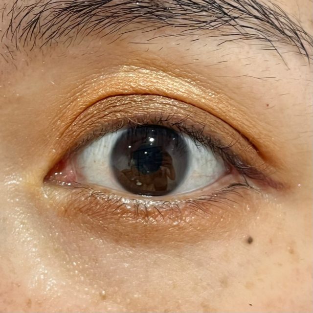 BR-9スキニーオレンジブラウンでメイクした様子