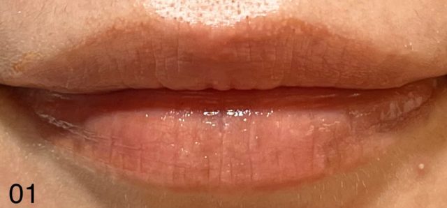 キスリップアーマーの01 スチームヌードを塗った唇