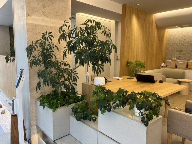 ウェルクサロン内