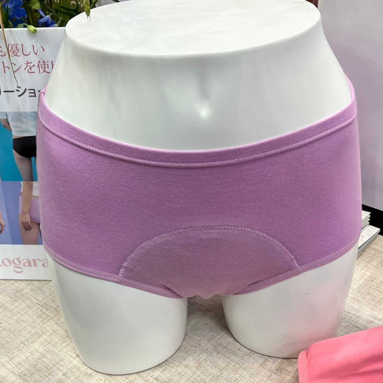 Hogara オーガニックコットン 吸水ショーツ　フル（スターチス）