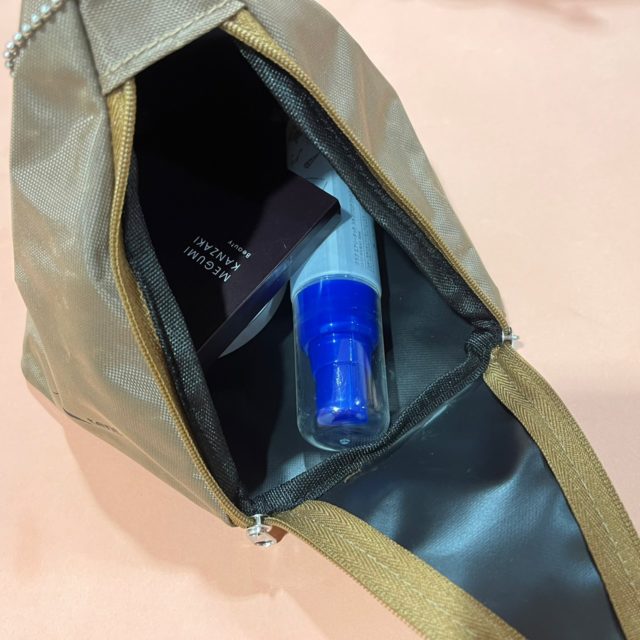 tent-Mark DESIGNS テント型ポーチに物を入れたところ