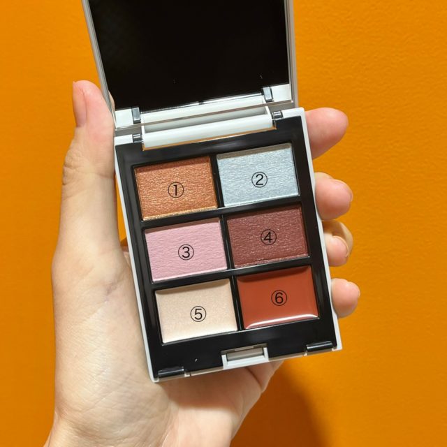 6色カスタムパレットの写真