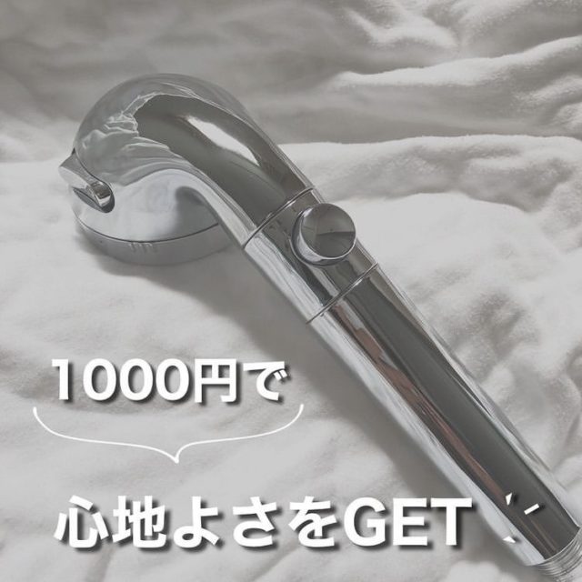 シャワーヘッド1100円