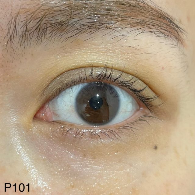 P101 アッシュカーキでメイクした目の正面画像
