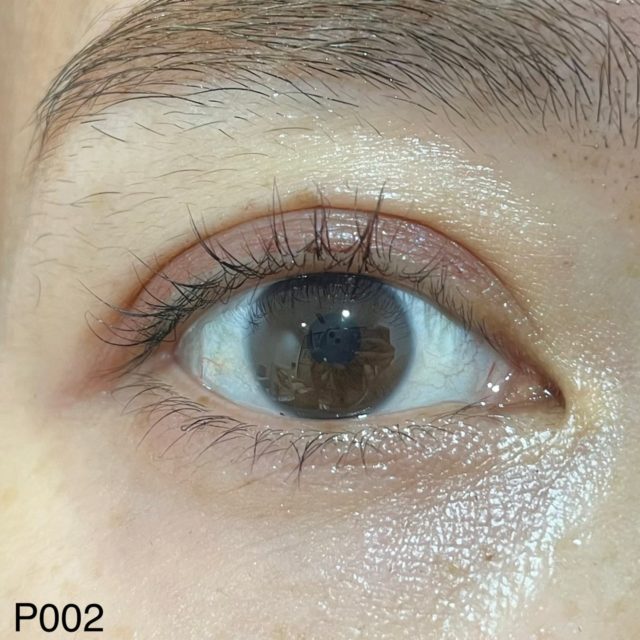 P002 ブラウンルビーでメイクした目の正面画像