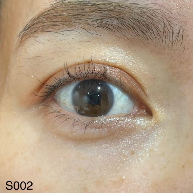 S002 レオテラコッタでメイクした目の正面画像