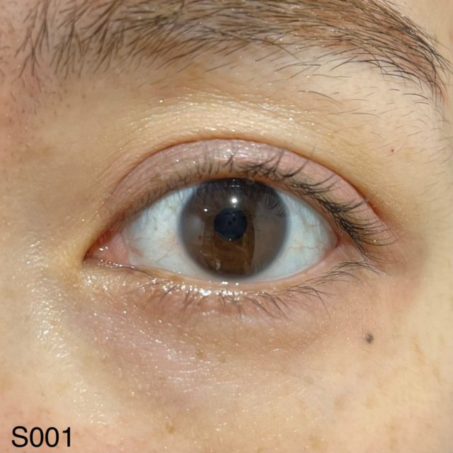 S001 ダスティピンクでメイクした目の正面画像