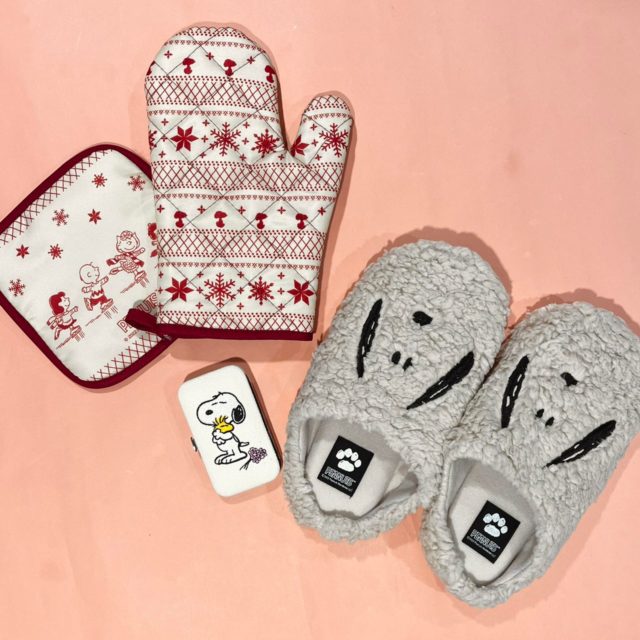 3つの付録の物撮り