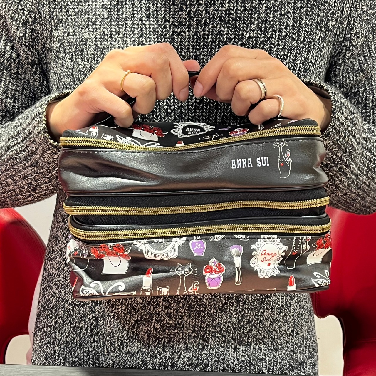 ANNA SUIバニティポーチを持っている