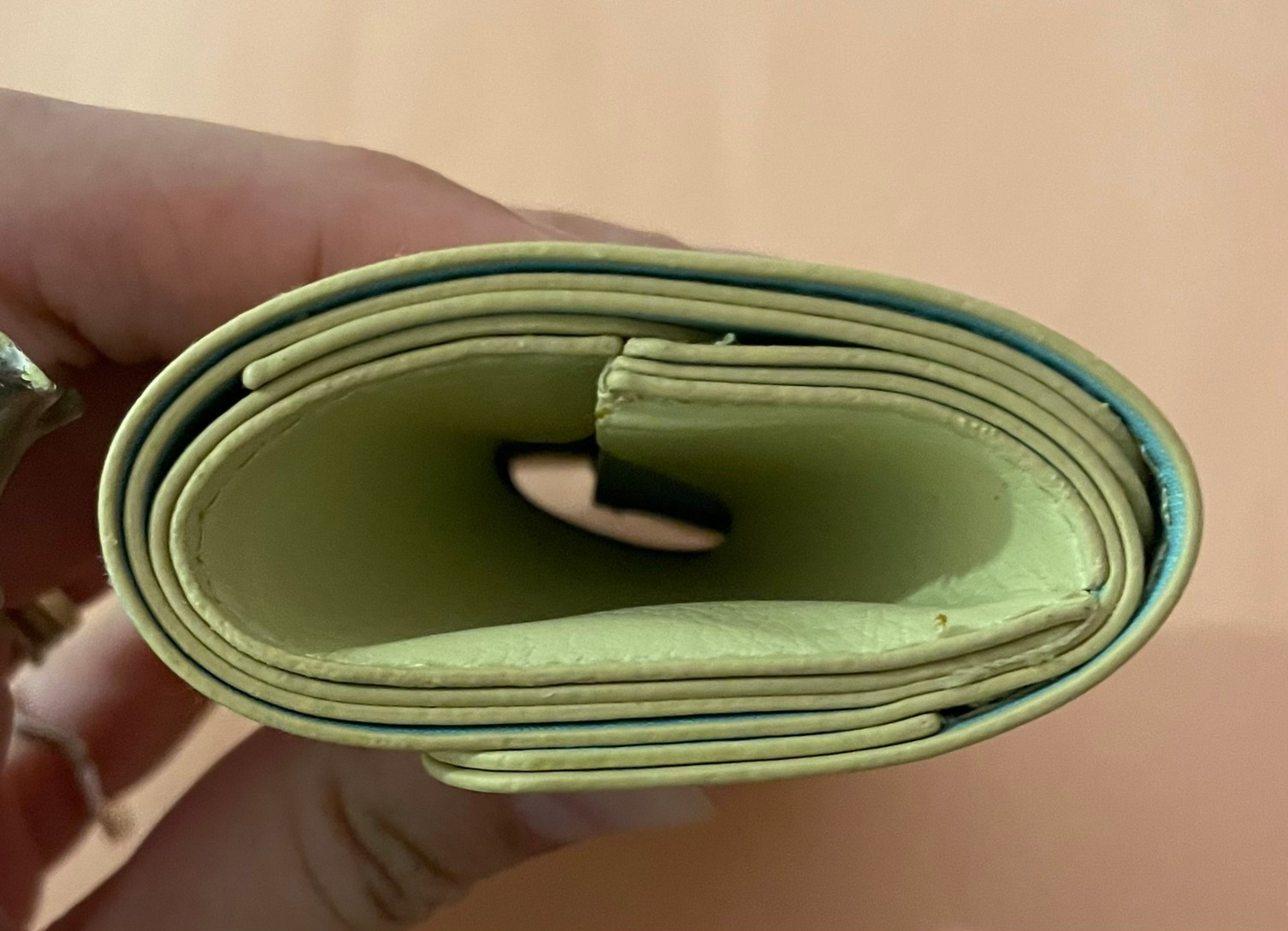 極小財布YEAR OF RABBITの厚みがわかる画像