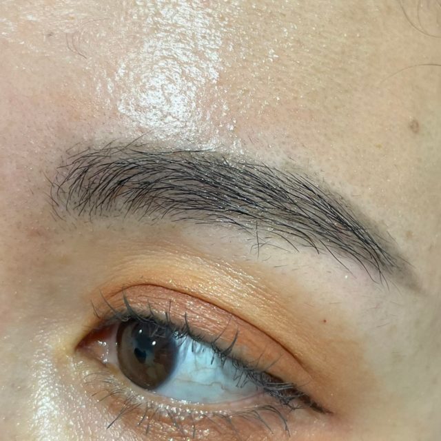 メロウドローアイブロウの写真