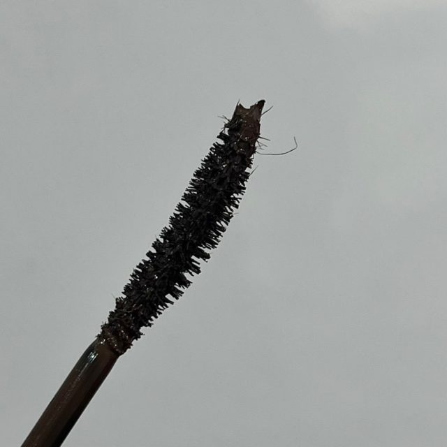 ロムアンドの写真