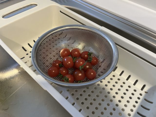 ミニトマトを水切りバスケットで乾かしている