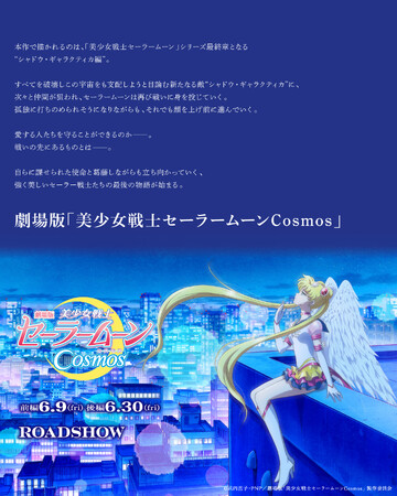 美少女戦士セーラームーンCosmos