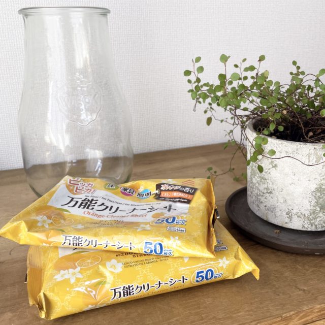 クリーナーを2つ乗せた写真